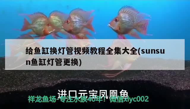 給魚缸換燈管視頻教程全集大全(sunsun魚缸燈管更換)