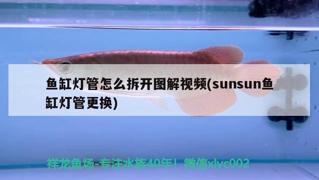 魚缸燈管怎么拆開圖解視頻(sunsun魚缸燈管更換)