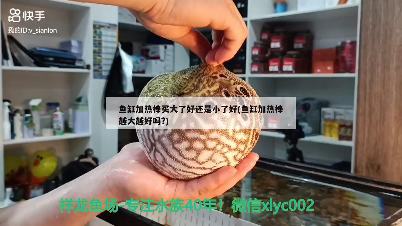 魚缸加熱棒買大了好還是小了好(魚缸加熱棒越大越好嗎?)