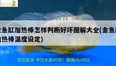 金魚缸加熱棒怎樣判斷好壞圖解大全(金魚缸加熱棒溫度設(shè)定)