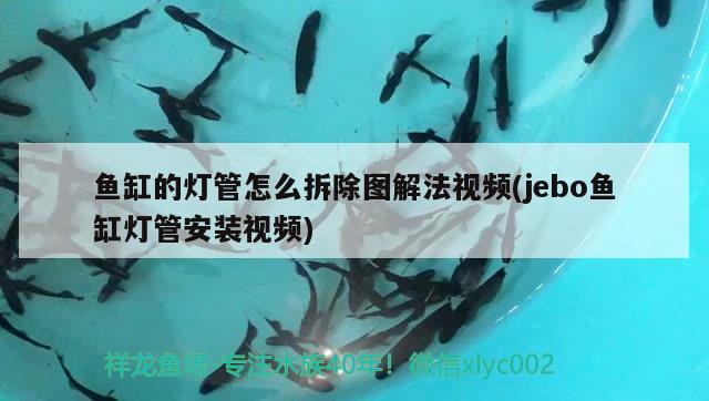 魚缸的燈管怎么拆除圖解法視頻(jebo魚缸燈管安裝視頻)