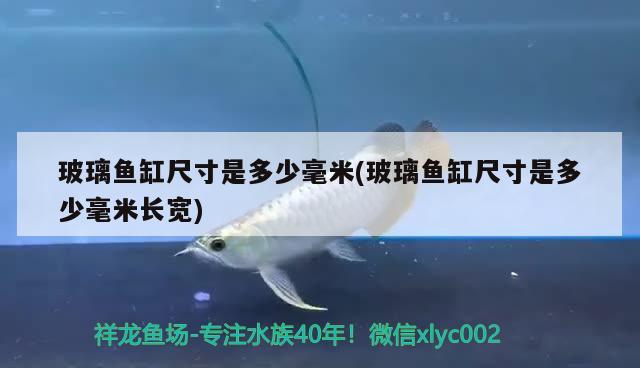 玻璃魚缸尺寸是多少毫米(玻璃魚缸尺寸是多少毫米長寬)