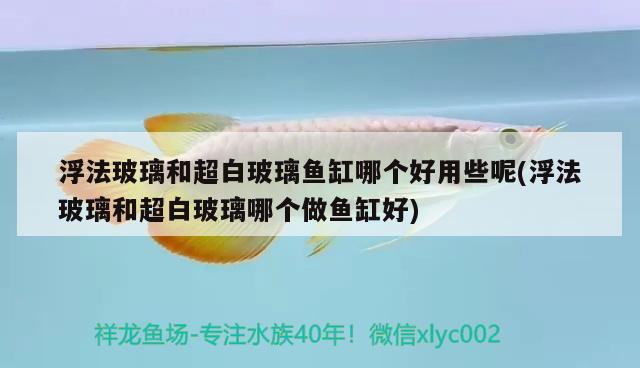 浮法玻璃和超白玻璃魚(yú)缸哪個(gè)好用些呢(浮法玻璃和超白玻璃哪個(gè)做魚(yú)缸好) 喂食器