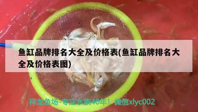 魚缸品牌排名大全及價格表(魚缸品牌排名大全及價格表圖) 泰龐海蓮魚