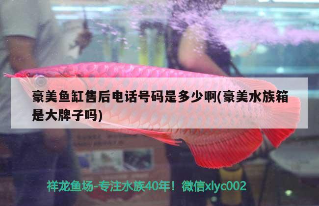 豪美魚缸售后電話號碼是多少啊(豪美水族箱是大牌子嗎) 魚缸/水族箱