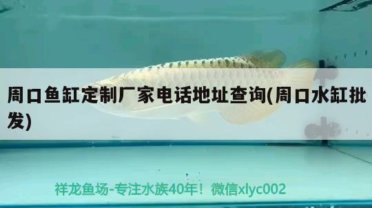 周口魚(yú)缸定制廠家電話(huà)地址查詢(xún)(周口水缸批發(fā)) 觀賞魚(yú)飼料