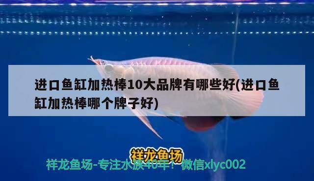 進(jìn)口魚缸加熱棒10大品牌有哪些好(進(jìn)口魚缸加熱棒哪個牌子好) 照明器材