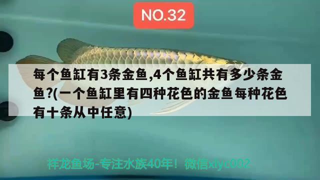 每個魚缸有3條金魚,4個魚缸共有多少條金魚?(一個魚缸里有四種花色的金魚每種花色有十條從中任意) 一眉道人魚苗 第1張