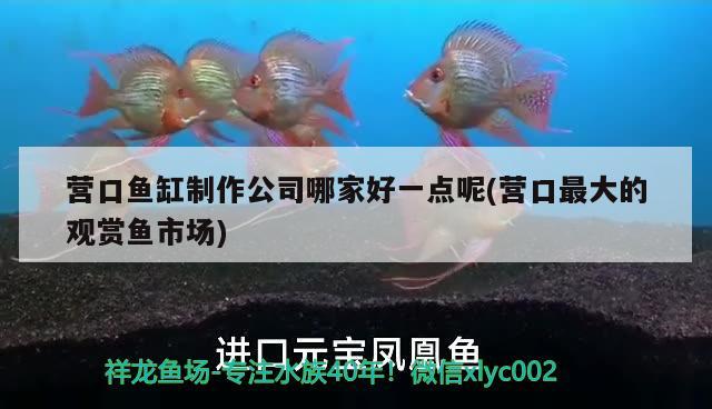 營(yíng)口魚缸制作公司哪家好一點(diǎn)呢(營(yíng)口最大的觀賞魚市場(chǎng))