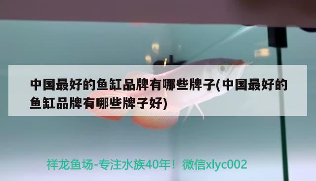 中國(guó)最好的魚(yú)缸品牌有哪些牌子(中國(guó)最好的魚(yú)缸品牌有哪些牌子好) 紅頭利魚(yú)