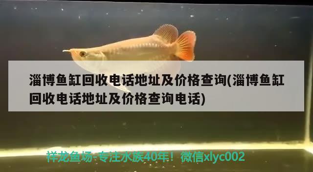 淄博魚缸回收電話地址及價格查詢(淄博魚缸回收電話地址及價格查詢電話) 名貴錦鯉魚