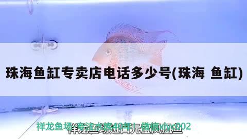 珠海魚缸專賣店電話多少號(hào)(珠海魚缸) ?；?異型虎魚/純色虎魚