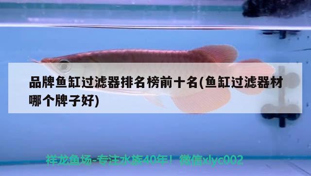 品牌魚(yú)缸過(guò)濾器排名榜前十名(魚(yú)缸過(guò)濾器材哪個(gè)牌子好)