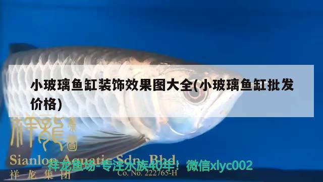 小玻璃魚缸裝飾效果圖大全(小玻璃魚缸批發(fā)價格) 粗線銀版魚