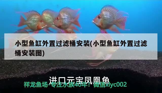 小型魚缸外置過濾桶安裝(小型魚缸外置過濾桶安裝圖)