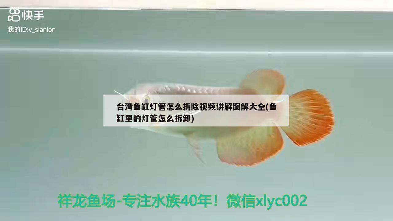 臺(tái)灣魚缸燈管怎么拆除視頻講解圖解大全(魚缸里的燈管怎么拆卸)