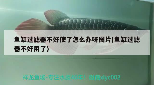 魚(yú)缸過(guò)濾器不好使了怎么辦呀圖片(魚(yú)缸過(guò)濾器不好用了)