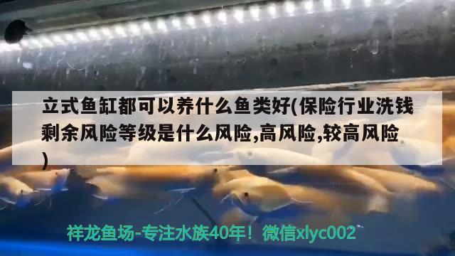 立式魚缸都可以養(yǎng)什么魚類好(保險行業(yè)洗錢剩余風(fēng)險等級是什么風(fēng)險,高風(fēng)險,較高風(fēng)險) 紅龍專用魚糧飼料