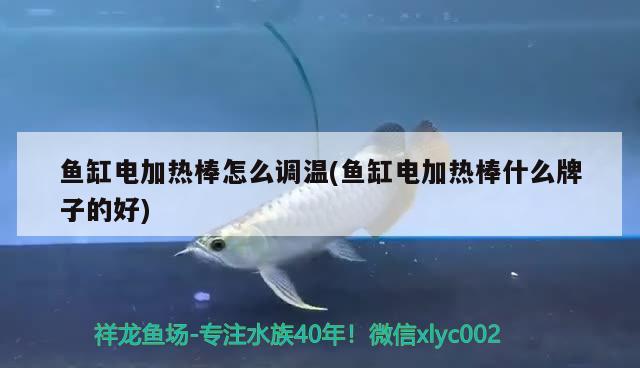 魚缸電加熱棒怎么調(diào)溫(魚缸電加熱棒什么牌子的好) 水族維護(hù)服務(wù)（上門）