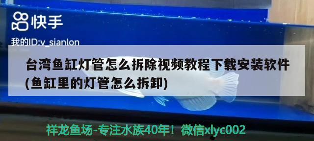 臺灣魚缸燈管怎么拆除視頻教程下載安裝軟件(魚缸里的燈管怎么拆卸) 大日玉鯖魚