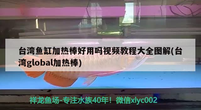 臺灣魚缸加熱棒好用嗎視頻教程大全圖解(臺灣global加熱棒)