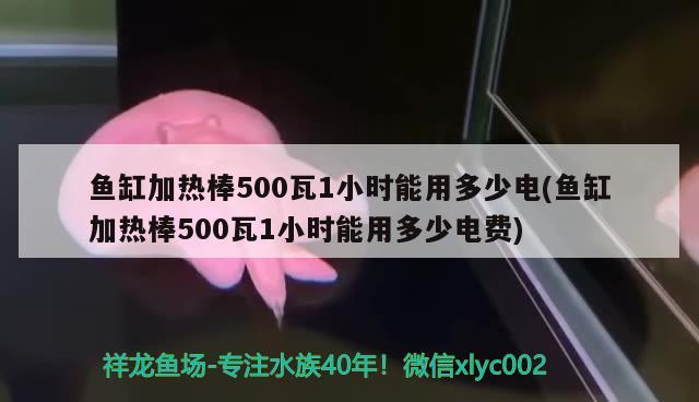 魚缸加熱棒500瓦1小時(shí)能用多少電(魚缸加熱棒500瓦1小時(shí)能用多少電費(fèi)) 薩伊藍(lán)魚