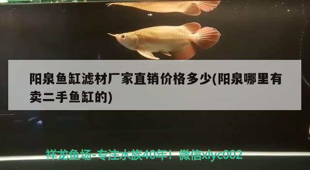 陽泉魚缸濾材廠家直銷價格多少(陽泉哪里有賣二手魚缸的)