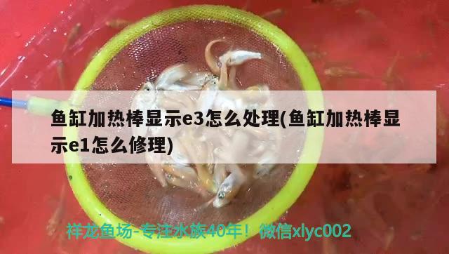 魚缸加熱棒顯示e3怎么處理(魚缸加熱棒顯示e1怎么修理) 福魟魟魚