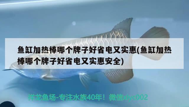 魚缸加熱棒哪個牌子好省電又實惠(魚缸加熱棒哪個牌子好省電又實惠安全) 觀賞魚市場