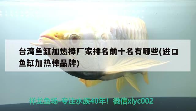 臺灣魚缸加熱棒廠家排名前十名有哪些(進(jìn)口魚缸加熱棒品牌) 其他益生菌