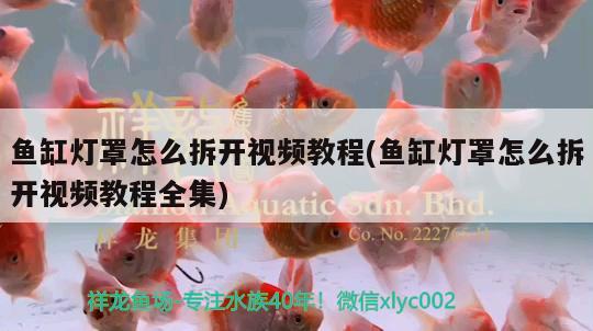 魚缸燈罩怎么拆開視頻教程(魚缸燈罩怎么拆開視頻教程全集) 魚缸水質(zhì)穩(wěn)定劑