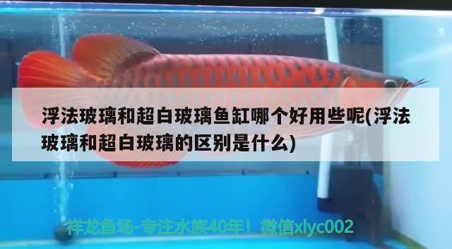 浮法玻璃和超白玻璃魚(yú)缸哪個(gè)好用些呢(浮法玻璃和超白玻璃的區(qū)別是什么) 申古銀版魚(yú)