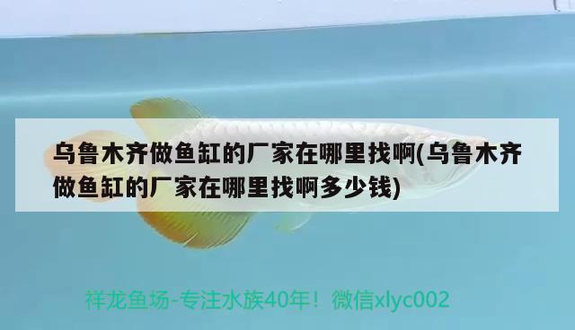 烏魯木齊做魚缸的廠家在哪里找啊(烏魯木齊做魚缸的廠家在哪里找啊多少錢) 黑帝王魟魚