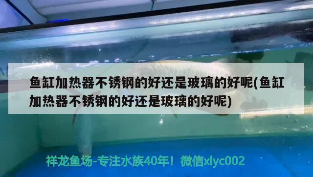 魚缸加熱器不銹鋼的好還是玻璃的好呢(魚缸加熱器不銹鋼的好還是玻璃的好呢)