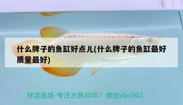 什么牌子的魚(yú)缸好點(diǎn)兒(什么牌子的魚(yú)缸最好質(zhì)量最好)