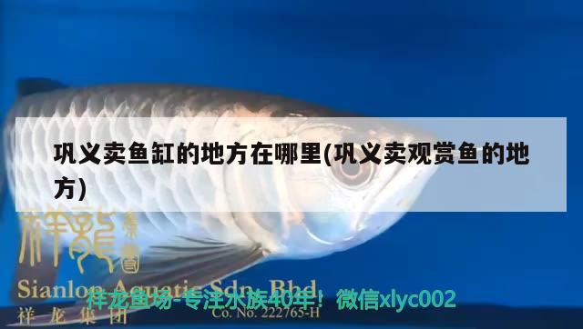 鞏義賣(mài)魚(yú)缸的地方在哪里(鞏義賣(mài)觀(guān)賞魚(yú)的地方) 藍(lán)帆三間魚(yú)