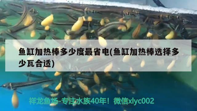 魚缸加熱棒多少度最省電(魚缸加熱棒選擇多少瓦合適)