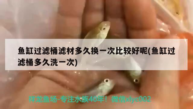 魚缸過濾桶濾材多久換一次比較好呢(魚缸過濾桶多久洗一次)