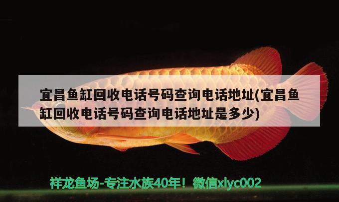 宜昌魚缸回收電話號碼查詢電話地址(宜昌魚缸回收電話號碼查詢電話地址是多少)