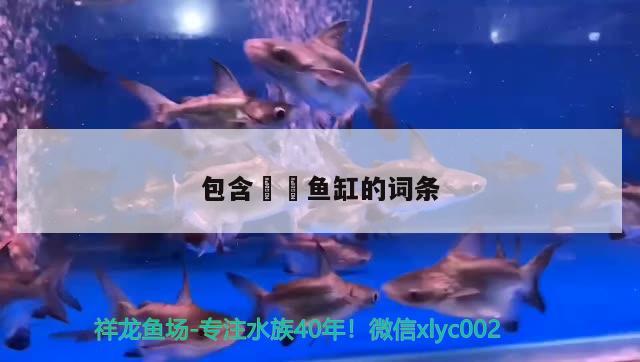 包含鳑鲏魚缸的詞條 黃金達(dá)摩魚