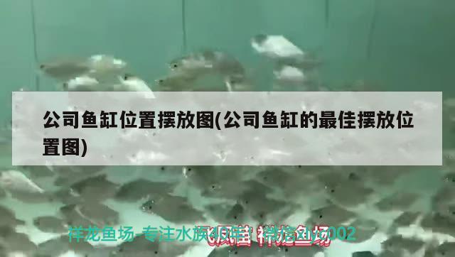 公司魚缸位置擺放圖(公司魚缸的最佳擺放位置圖)