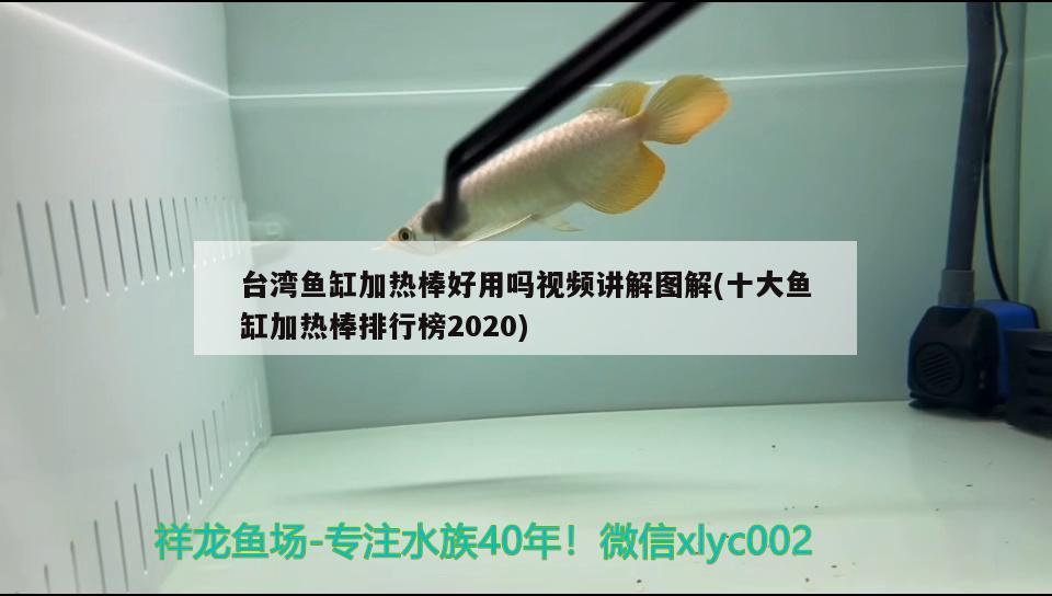 臺灣魚缸加熱棒好用嗎視頻講解圖解(十大魚缸加熱棒排行榜2020) 廣州水族批發(fā)市場