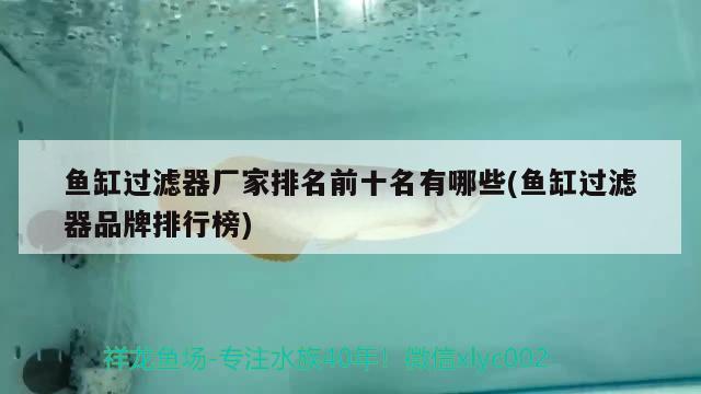 魚缸過濾器廠家排名前十名有哪些(魚缸過濾器品牌排行榜)