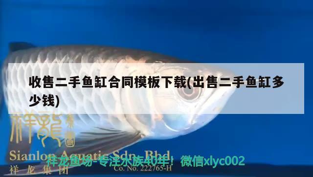 收售二手魚缸合同模板下載(出售二手魚缸多少錢)