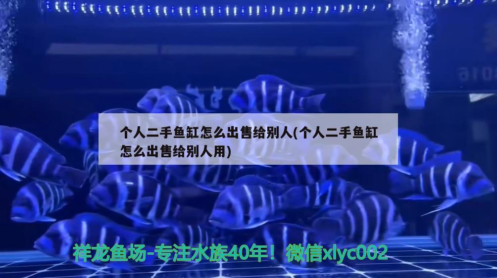 個(gè)人二手魚缸怎么出售給別人(個(gè)人二手魚缸怎么出售給別人用) 稀有金龍魚