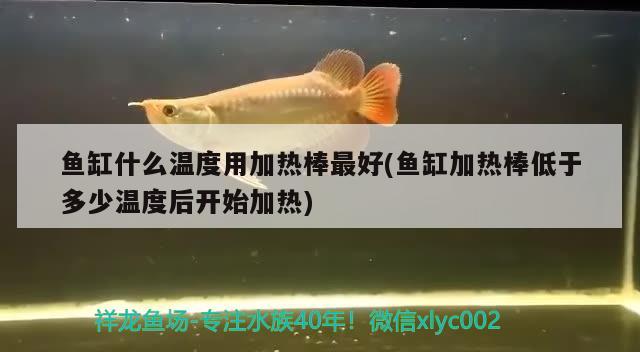 魚缸什么溫度用加熱棒最好(魚缸加熱棒低于多少溫度后開始加熱)