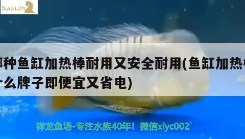 哪種魚(yú)缸加熱棒耐用又安全耐用(魚(yú)缸加熱棒什么牌子即便宜又省電) 水族維護(hù)服務(wù)（上門(mén)）