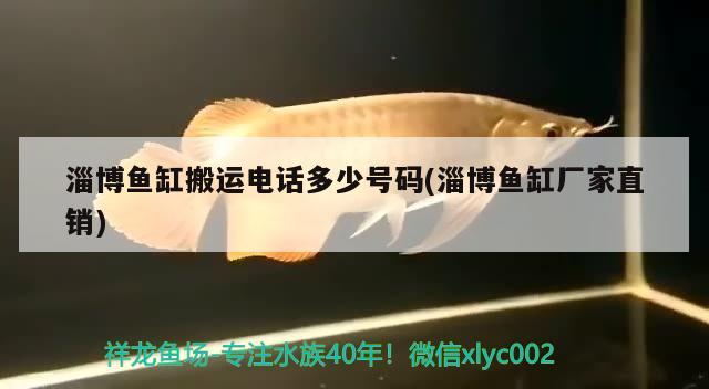 淄博魚缸搬運電話多少號碼(淄博魚缸廠家直銷)