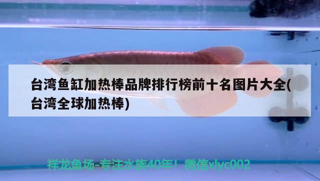 臺灣魚缸加熱棒品牌排行榜前十名圖片大全(臺灣全球加熱棒) 魚缸清潔用具