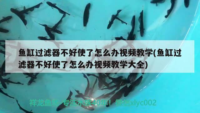 魚缸過濾器不好使了怎么辦視頻教學(xué)(魚缸過濾器不好使了怎么辦視頻教學(xué)大全) 月光鴨嘴魚